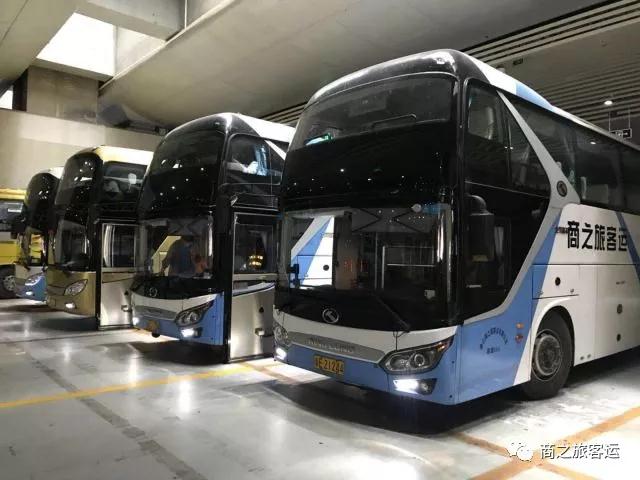 作為菜鳥的新手開車要注意什么？